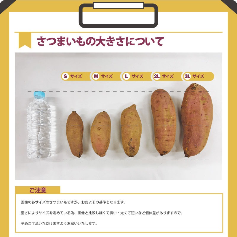 紅はるか　3Lサイズ　さつまいも　5kg　スイーツ、バームクーヘン、いちご、メロン、さつまいも　野菜・お米・たまご｜深作農園　農家直営