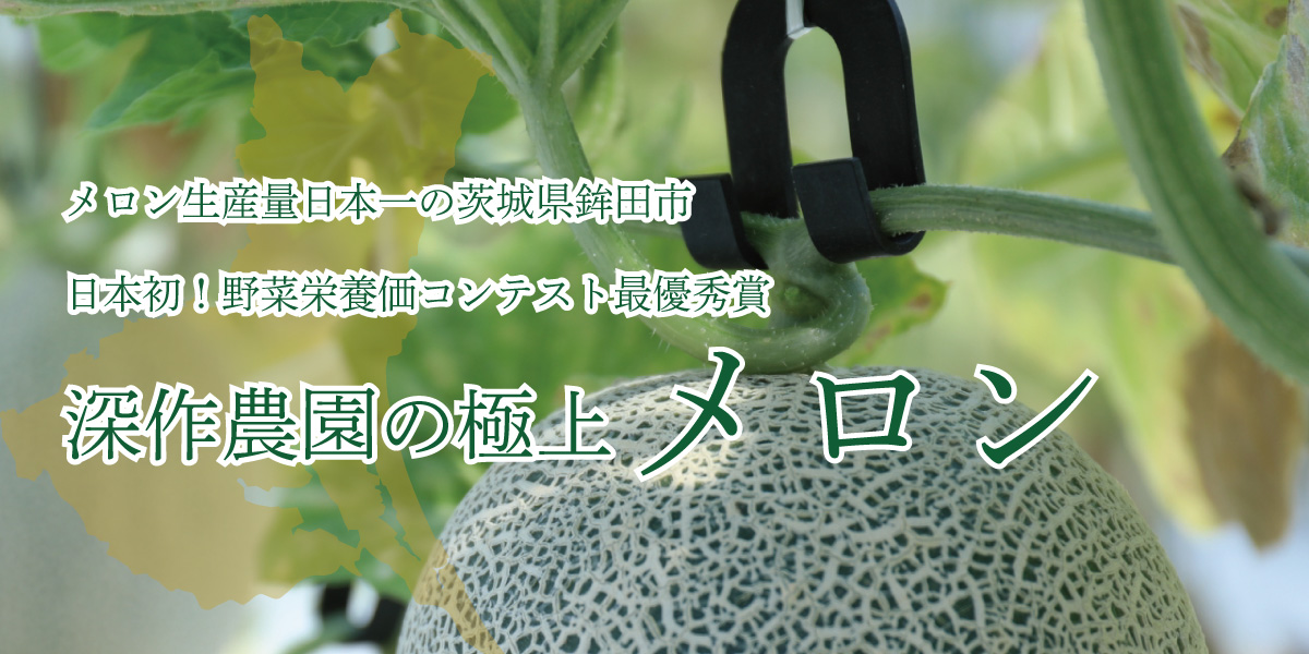 錧 gc 