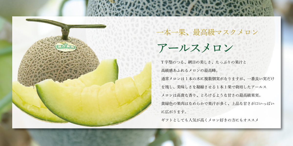 錧 gc 