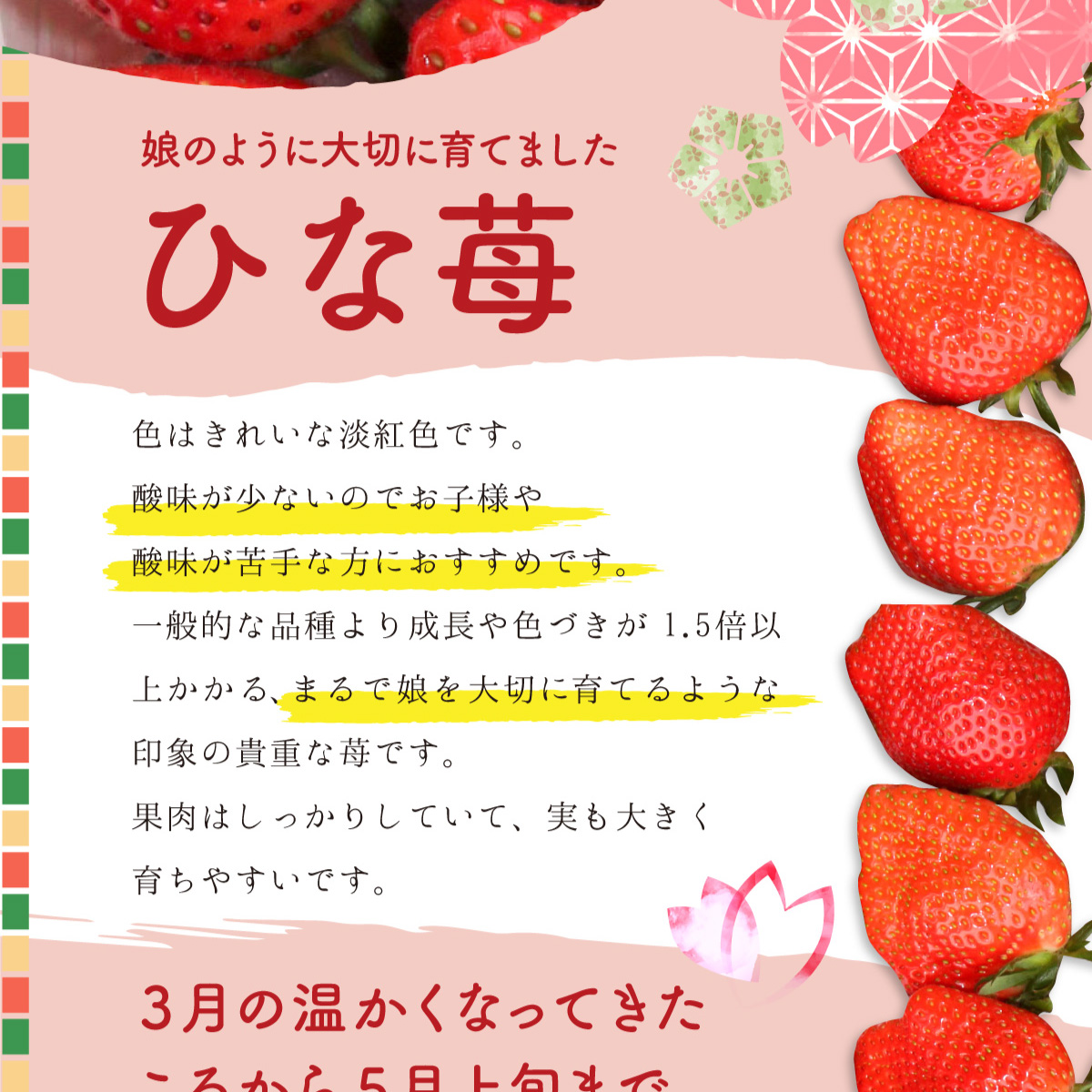 ひないちごさん 専用ページ