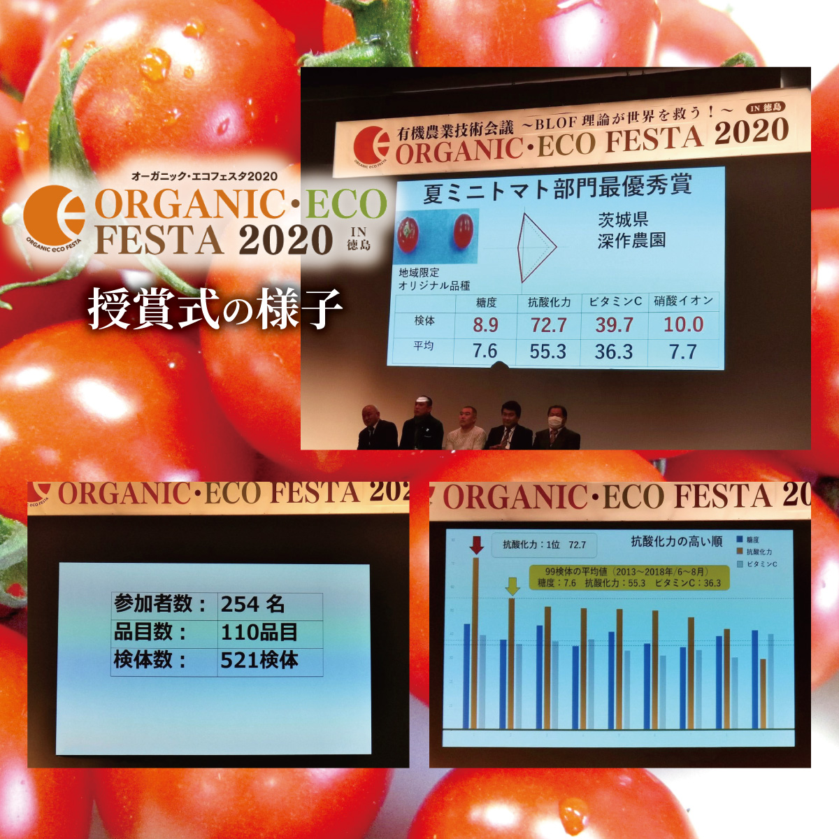 ☆送料無料☆ 当日発送可能 トマト ３個 約400ｇ 福岡 熊本産r globescoffers.com