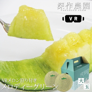 fBO[ 2ʁi1.2kg~2ʁjVRt