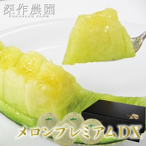 y\zؓ fBO[ v~ADX 7.5kg唠y6/20`6/30\z 錧 gcsY