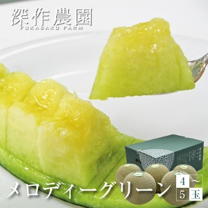 fB[O[ TCYs3`6ʓi5kgj 錧 gcs