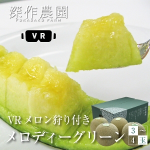 fB[O[ 3ʁ`4ʁi4.5kg`5kgj VRt  錧 gcs