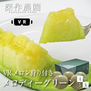 fB[O[ 4ʁ`5ʁi5kgj VRt  錧 gcs
