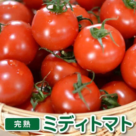 ミディトマト 1 5kg箱入り 野菜 たまご 深作農園 農家直営 新鮮野菜 スイーツ バームクーヘン いちご ミディトマト 1 5kg箱入り 野菜 たまご 深作農園 農家直営 新鮮野菜 スイーツ バームクーヘン いちご