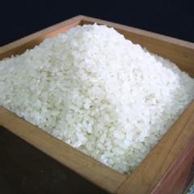 深作農園の 一等米（コシヒカリ）玄米 10kg